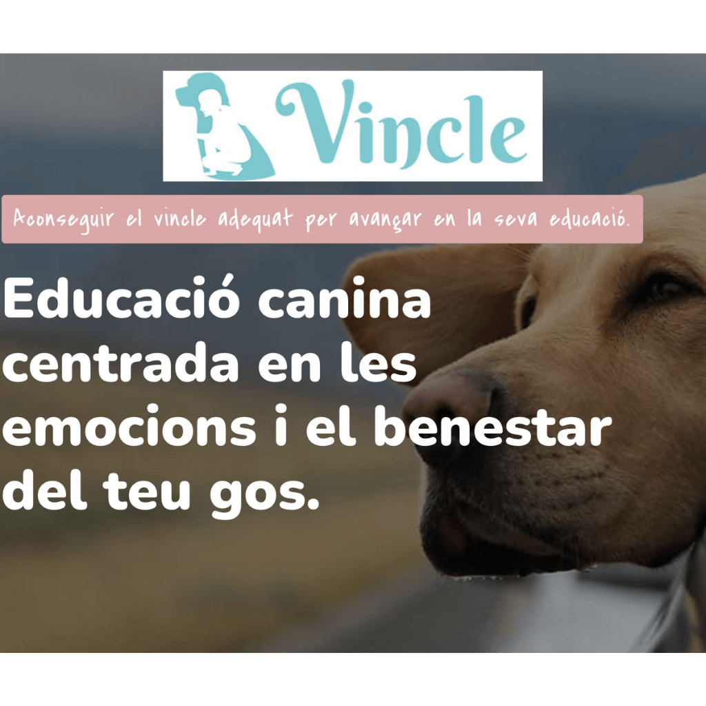 Vincle Cani