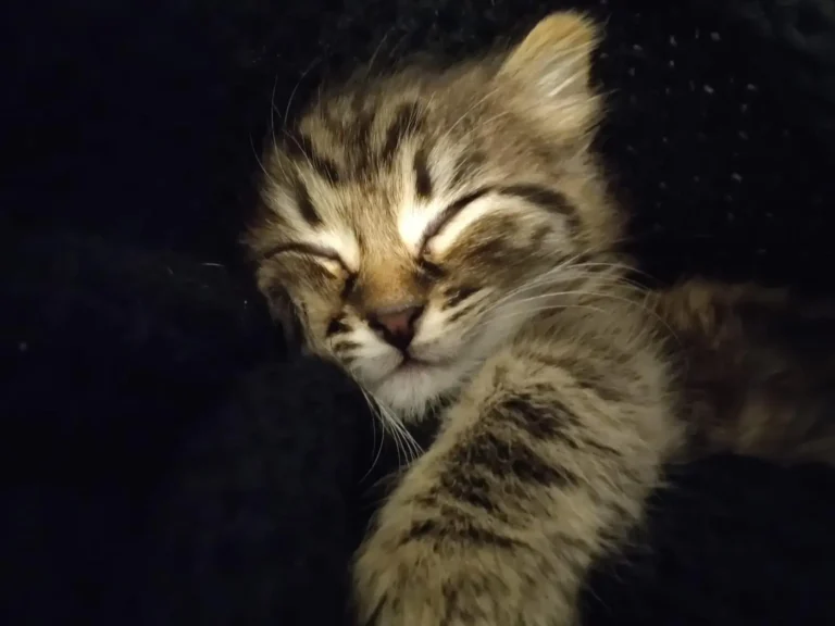 WhatsApp Image 2026-01-20 at 13.22.46 (7)