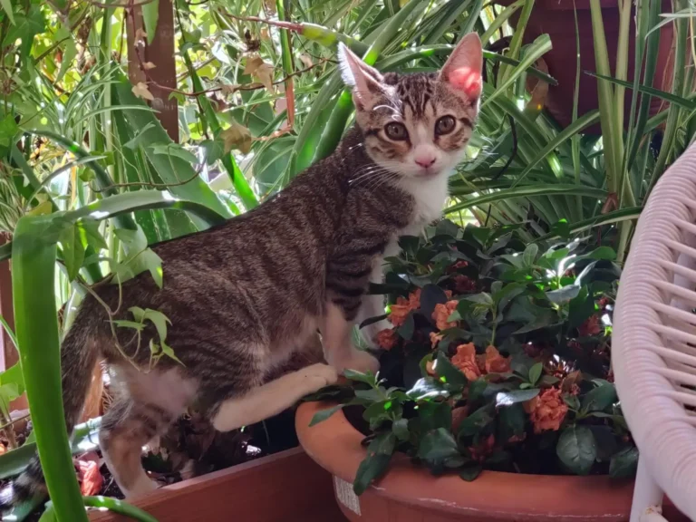 WhatsApp Image 2026-01-20 at 13.22.47 (2)