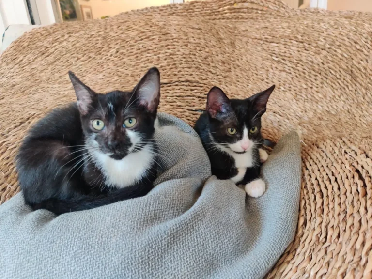 WhatsApp Image 2026-01-20 at 13.24.54 (2)