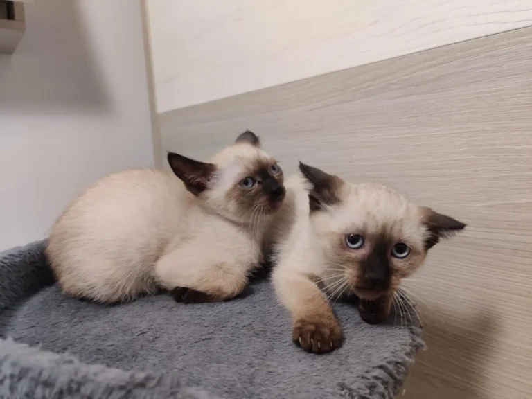 WhatsApp Image 2026-01-20 at 13.24.54 (3)