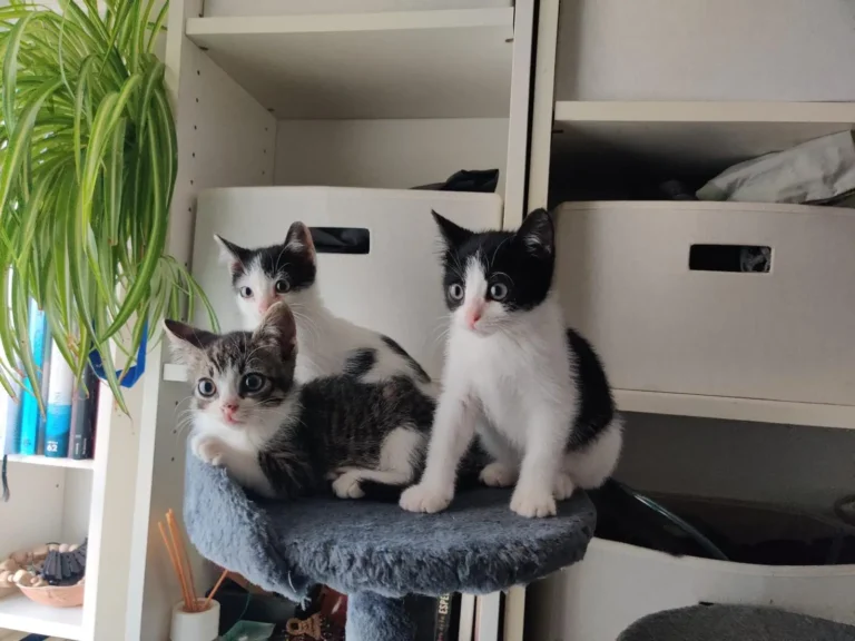 WhatsApp Image 2026-01-20 at 13.24.54 (4)